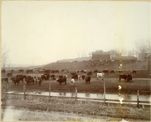 Image description is not available for PHO-4-W689-1770